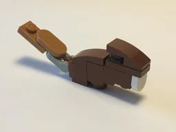 Beaver