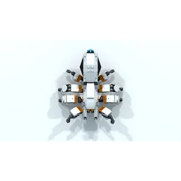 Tarantula