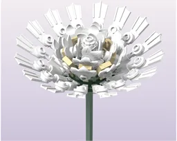 Stokes' Aster - White