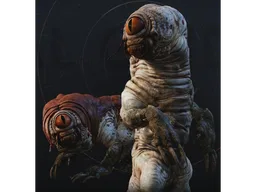 Animals from Star Wars Fallen Order
