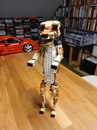 Meerkat