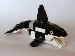31021: Killer Whale