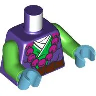 Torso, Green Robe, Magenta Necklace, Dark Brown Belt, White Shirt Print, Bright Green Arms, Medium Azure Hands / Dark Purple