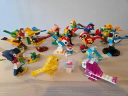 11040 Birds