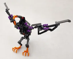 Kahu bird