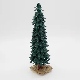 Coniferous Tree