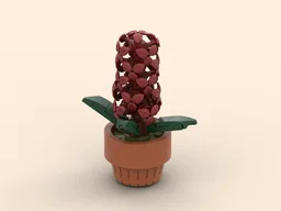 Hyacinth