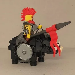 Boar rider