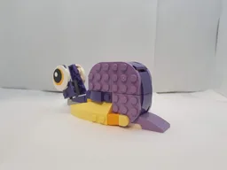 Snail