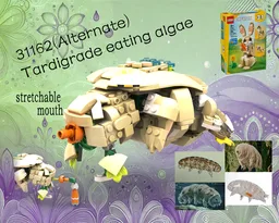 31162-Tardigrade eating algae(Alternate)