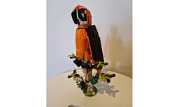 Parrot