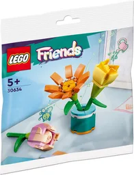 Friendship Flowers polybag