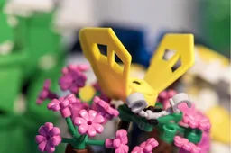 a04 Daffodil - Ultimate Flower Collection