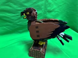 Golden Eagle