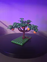 Citrus Trees