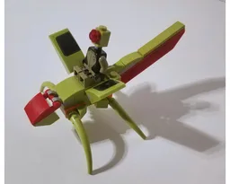Insect
