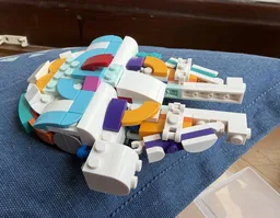 Rainbow Falcon