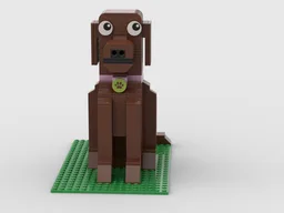 cute little dog