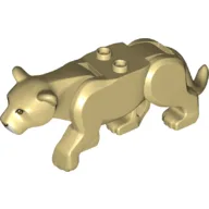 Animal, Big Cat, Leopard with 2 Studs, Brown Eyes Print / Tan