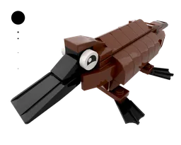 20 Platypus