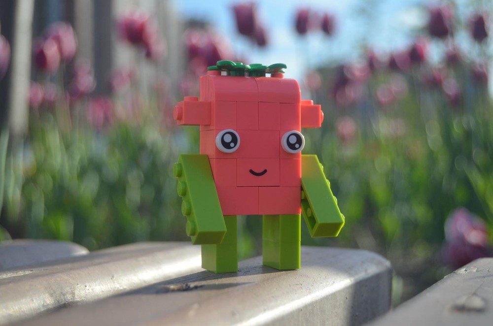 Lego Cuite