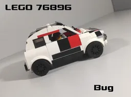 76896 Bug