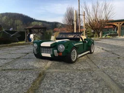 10242 alternate AC Cobra