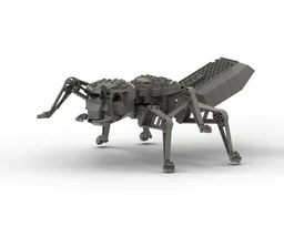 Ant