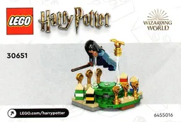 Quidditch Practice polybag