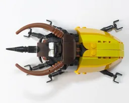 21342 Caucasus Beetle