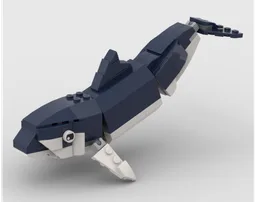 Dusky dolphin