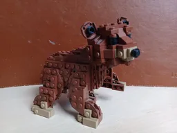 Bear Cub