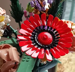 Red Gerbera flower
