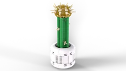 Moon Cactus