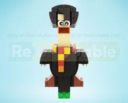 Wizard Student (The Chosen one)
