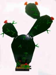 Bunny Ear Cactus