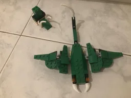 31058 manta ray