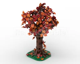 Plants and Trees Collection: Big Red Oak