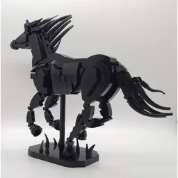 Equus Caballus