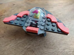 11954 Lepidoptera