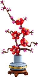 Plum Blossom