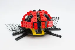 Ladybug