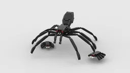 Big Black Spider