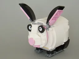 40251: Rabbit