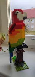 11005: Rainbow Parrot