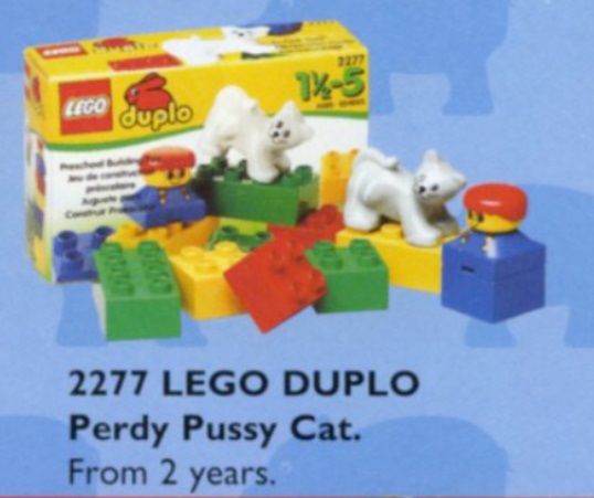 Lego Boy with Cat