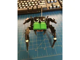 Cute Jumping Spider