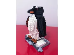 Gentoo Penguin