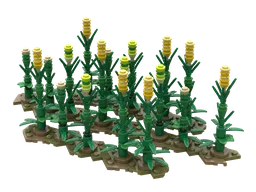 Field Corn