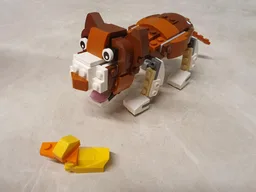 31044: Cat and Duck